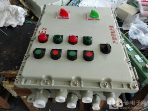 BXMD58 2K防爆照明配電箱詳解 專業廠家定制2路帶總開關方案與高清大圖鑒賞